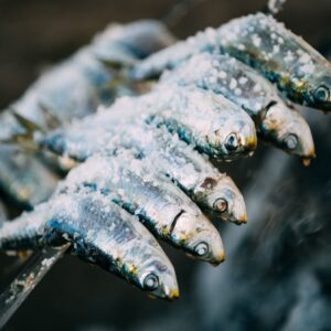 ISTRIAN SEAFOOD DELICAICES