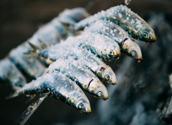 ISTRIAN SEAFOOD DELICAICES