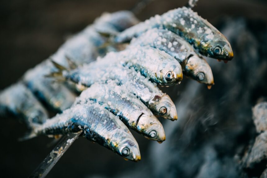 ISTRIAN SEAFOOD DELICAICES